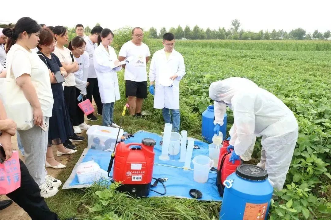 欧博abg-官方网址登录入口