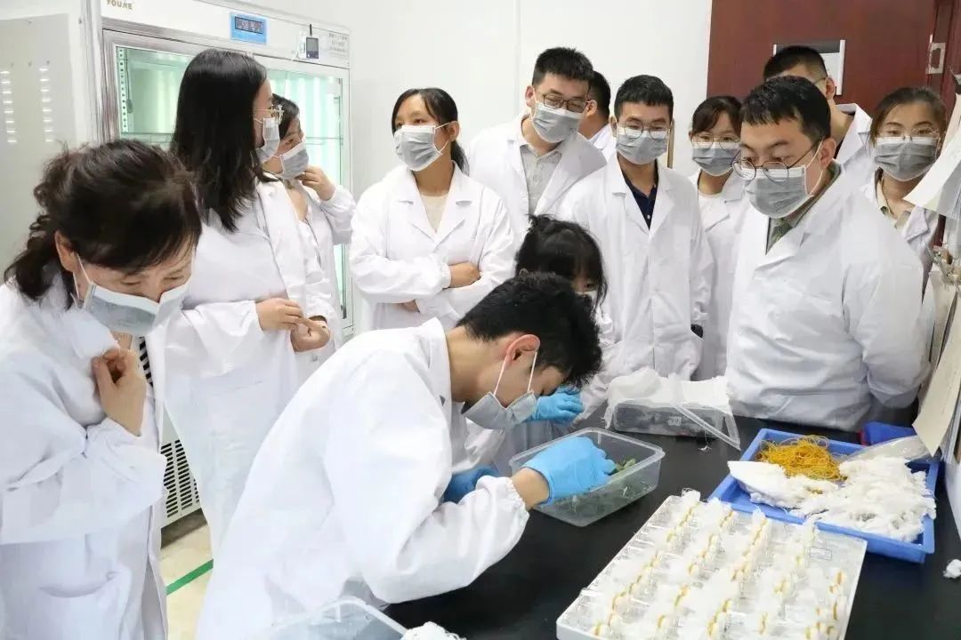 欧博abg-官方网址登录入口